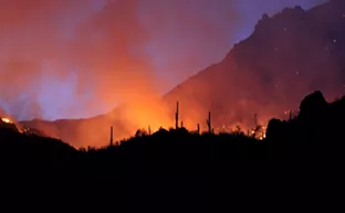 Image: A Fire’s Story: New book recounts the Bighorn Fire