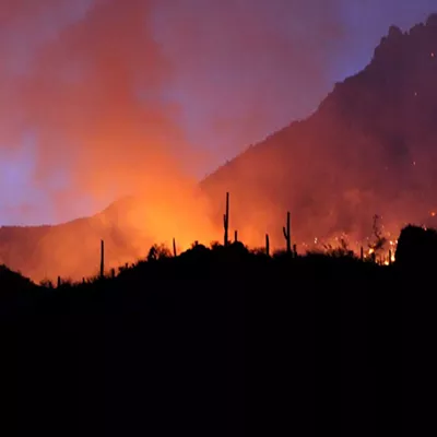 Image: A Fire’s Story: New book recounts the Bighorn Fire