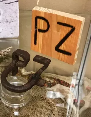 Image: All In A Day's Work - Life on the Ranch