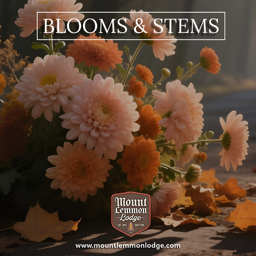 Floral Arranging Workshop