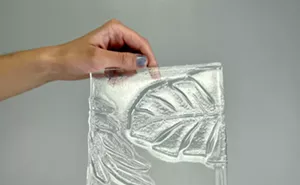 Image: Botanical Kiln Carving