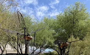Image: Butterfly Effect: Interactive insect sculptures land at Botanical Gardens