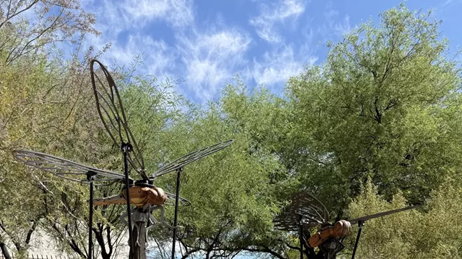 Image: Butterfly Effect: Interactive insect sculptures land at Botanical Gardens