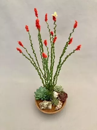 Image: Craft Your Own Mini Ocotillo! &ndash; LGBTQIA+ Desert Miniatures Workshop