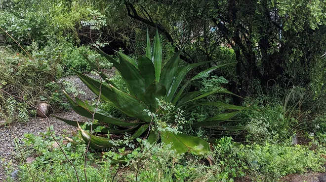 Image: Cultivating and Propagating Native Plants Workshop