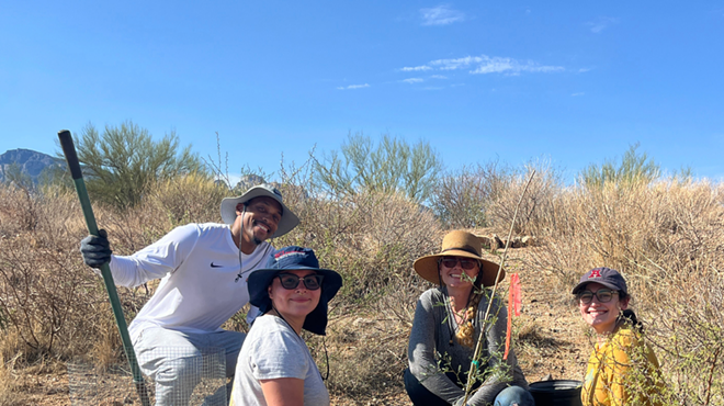 Image: Erosion control rockwork with the Coalition for Sonoran Desert Protection