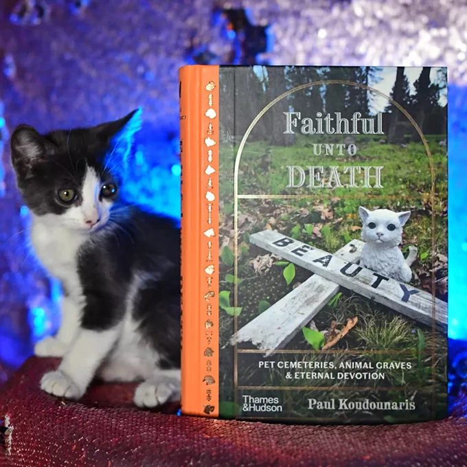 Faithful Unto Death