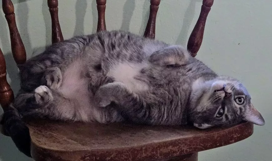 Cherubic Charlie hopes you'll join us!