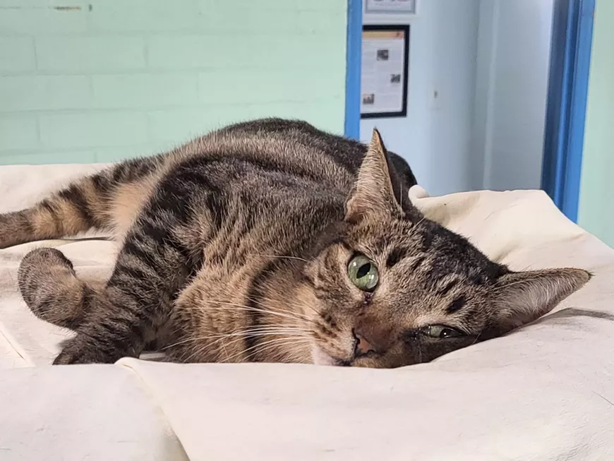 Shy Stephie hopes you'll join us!