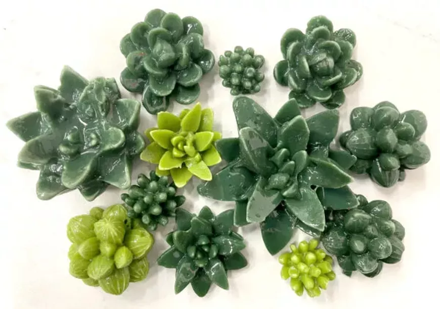 Freeze and Fuze Experience