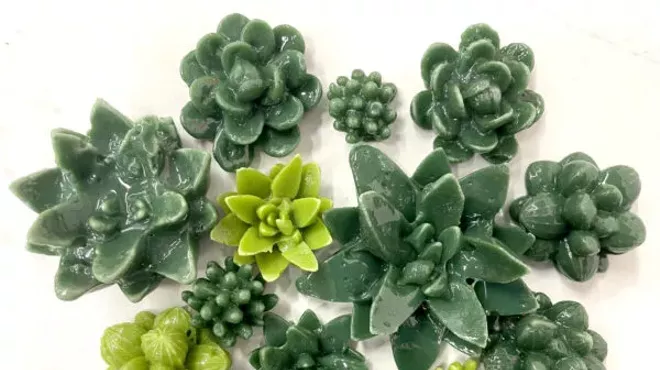 Image: Freeze & Fuse Experience