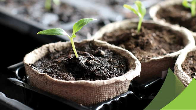 Image: Grateful for my Garden Storytime!