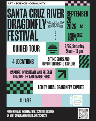 Image: Guided Dragonfly Tours