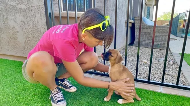 Image: Hale and happy: Pet doors give the best of both worlds