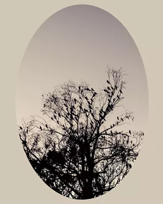 Image: Kate Breakey