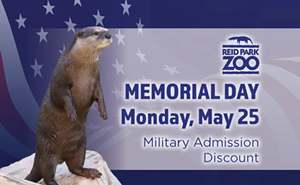 Image: Memorial Day 2026