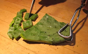 Image: Nopalitos Workshop