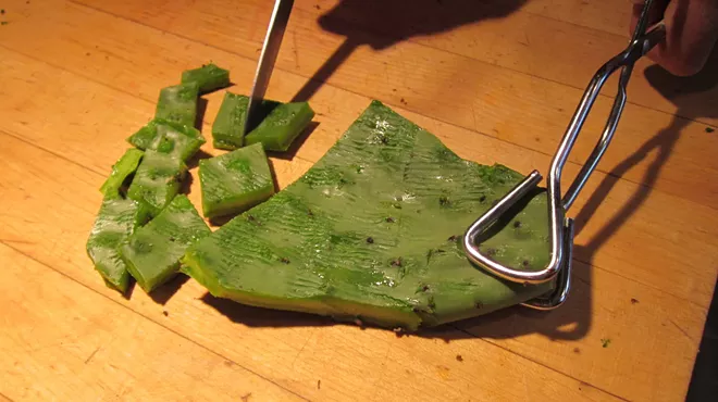 Image: Nopalitos Workshop