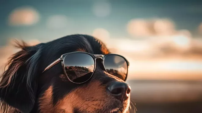 Image: Odyssey Storytelling Presents "Dog Days"