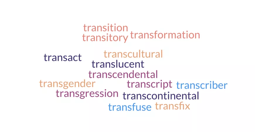 word_cloud_of_words_starting_with_the_trans_prefix.webp