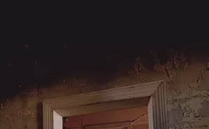 Image: Opening Night &ndash; Light and Shadow Photography Exhibition