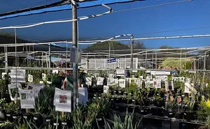 Image: Pima County Master Gardener Plant Sale @ Pima County Extension Office at 4210 N Campbell Ave, Tucson, AZ 85719