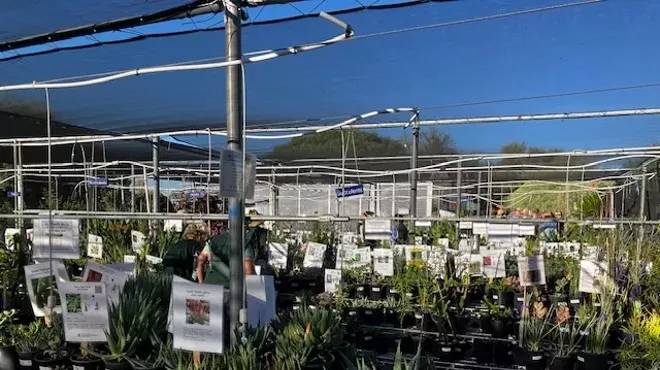 Image: Pima County Master Gardener Plant Sale @ Pima County Extension Office at 4210 N Campbell Ave, Tucson, AZ 85719