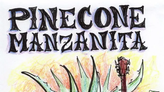 Image: Pinecone Manzanita