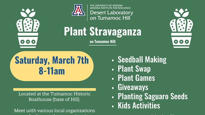 Image: Plant Stravaganza