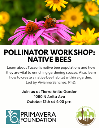 Image: Pollinator Workshop: Native Bees