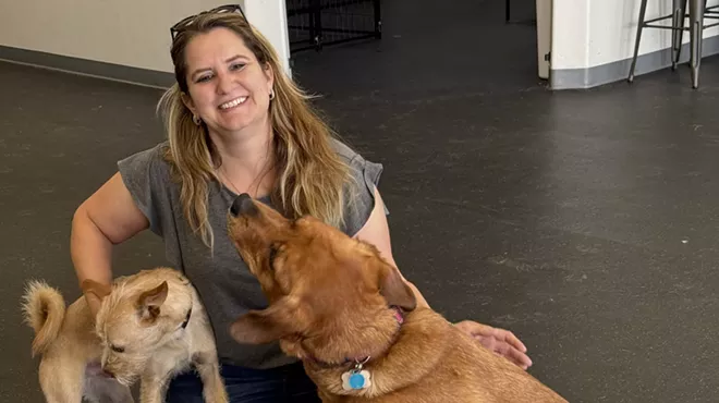 Image: Pup Paradise: Dogs of Tucson is barking up the right tree