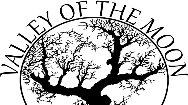 Image: Queen Astara's Fairy Lights