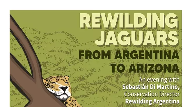 Image: Rewilding Jaguars from Argentina to Arizona
