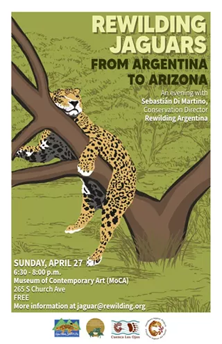 Image: Rewilding Jaguars from Argentina to Arizona