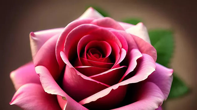 Image: Roses in the Desert?