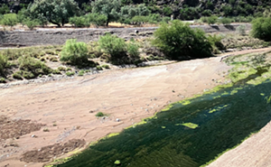 Image: Santa Cruz River History Tour-May 14th