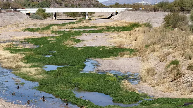 Image: Santa Cruz River History Tour