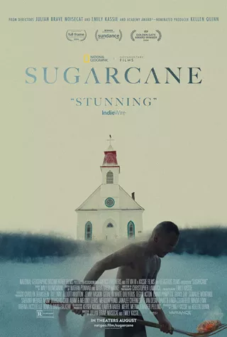 Image: Sugarcane