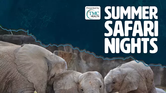Image: Summer Safari Nights: Kick Off to Summer
