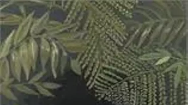 Image: The Descent: A Shadow Work Cacao Ceremony