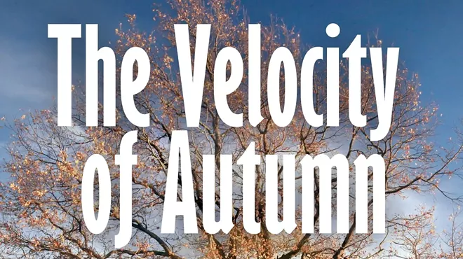 Image: The Velocity of Autumn