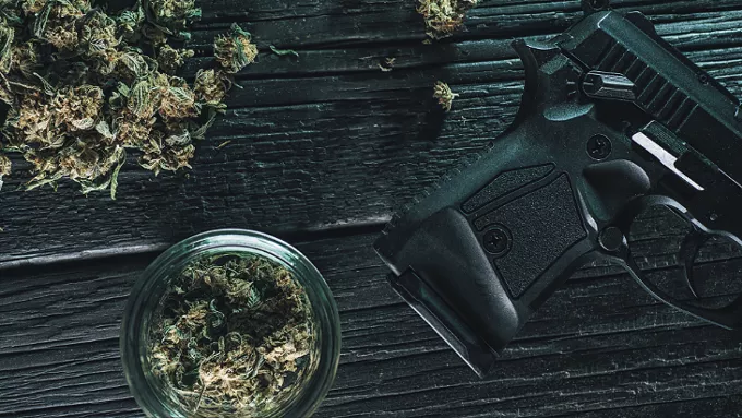 NORML News: Federal appeals court rejects disarmament of marijuana consumers