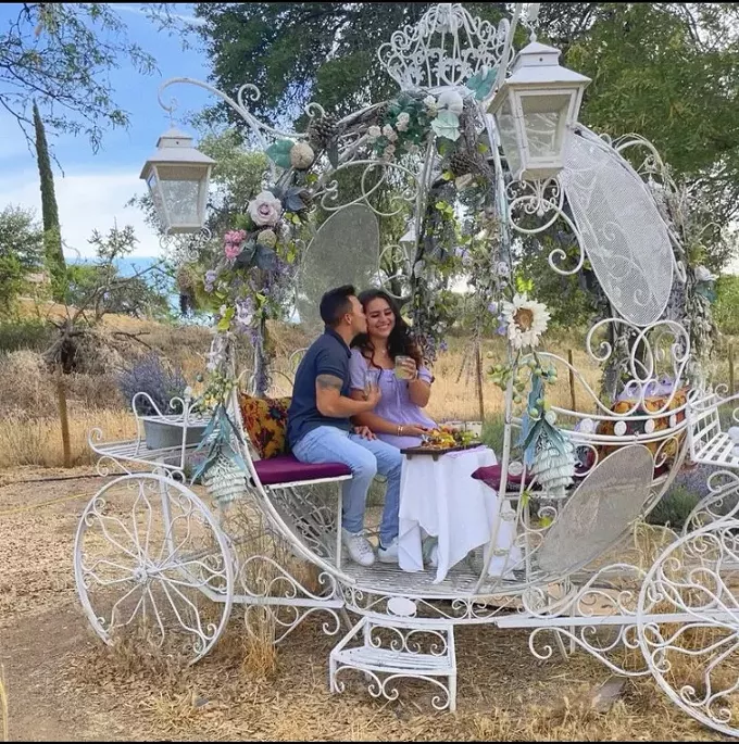 Awash in Color: Lavender Farm is blooming fantastic