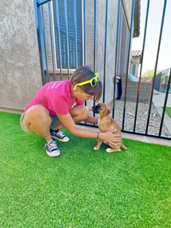 Hale and happy: Pet doors give the best of both worlds