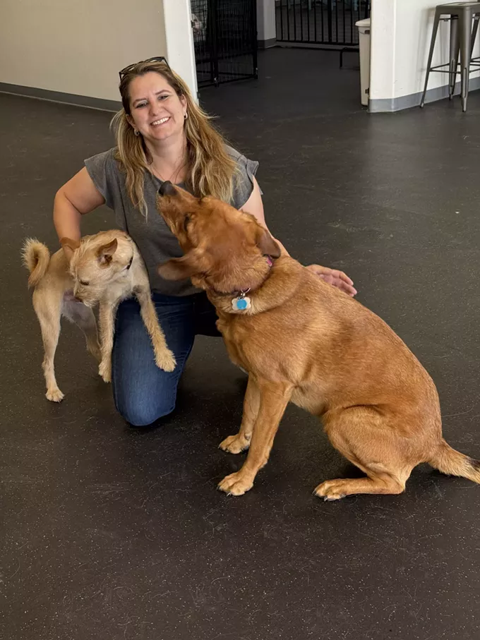 Pup Paradise: Dogs of Tucson is barking up the right tree