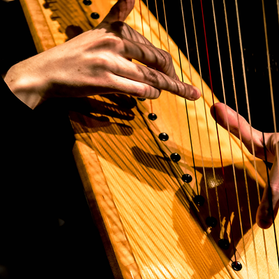 Image: Civic Orchestra of Tucson Harpist
