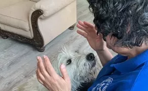 Image: What is My Animal Thinking?