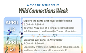 Image: Wild Connections Week - Explore the Santa Cruz River Wildlife Ramp