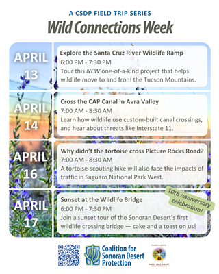Image: Wild Connections Week - Explore the Santa Cruz River Wildlife Ramp